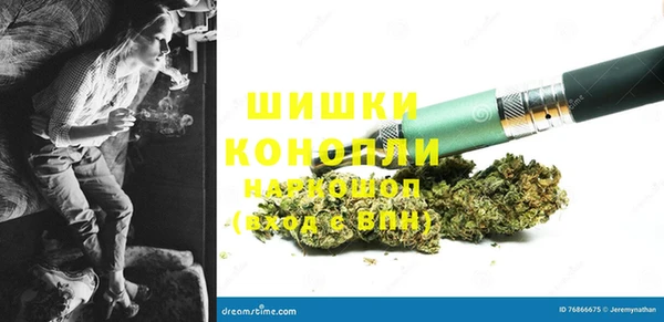 PSILOCYBIN Армянск