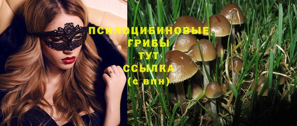 а пвп мука Аркадак