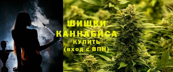 PSILOCYBIN Армянск