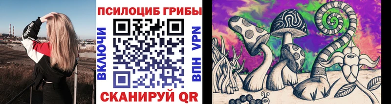 mega зеркало  Нижняя Тура  Псилоцибиновые грибы GOLDEN TEACHER 